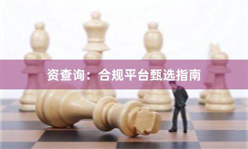 资查询：合规平台甄选指南