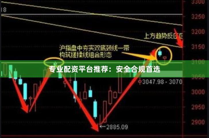 专业配资平台推荐：安全合规首选
